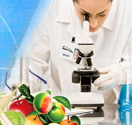 山東檢驗(yàn)檢疫局食品農(nóng)產(chǎn)品檢測(cè)中心 黨員技術(shù)服務(wù)熱線，筑牢食品安全防線